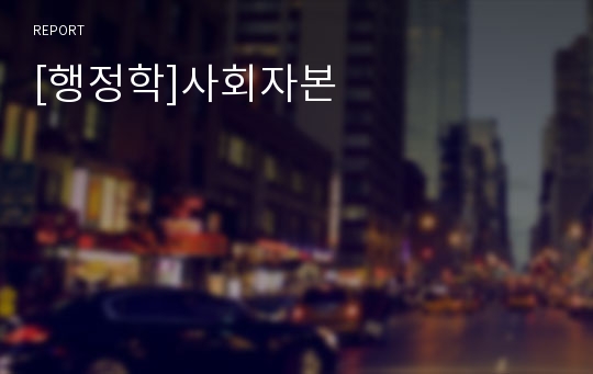 [행정학]사회자본