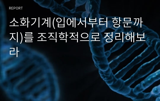 소화기계(입에서부터 항문까지)를 조직학적으로 정리해보라