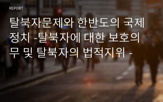 탈북자문제와 한반도의 국제정치 -탈북자에 대한 보호의무 및 탈북자의 법적지위 -