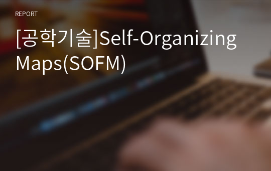 [공학기술]Self-Organizing Maps(SOFM)