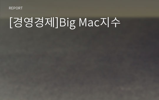 [경영경제]Big Mac지수