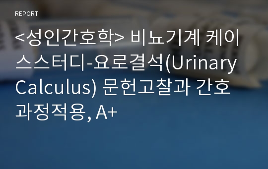 &lt;성인간호학&gt; 비뇨기계 케이스스터디-요로결석(Urinary Calculus) 문헌고찰과 간호과정적용, A+