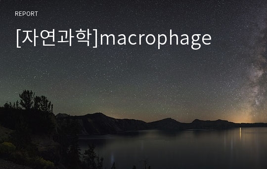 [자연과학]macrophage
