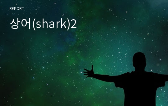 상어(shark)2