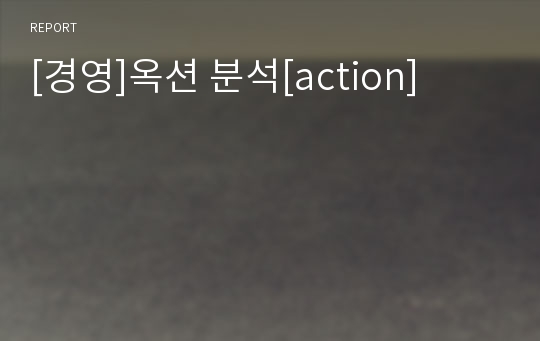 [경영]옥션 분석[action]