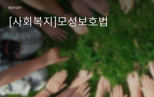 [사회복지]모성보호법