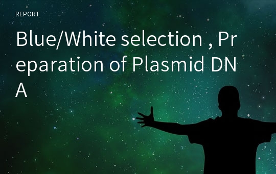 Blue/White selection , Preparation of Plasmid DNA