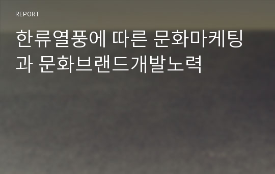 한류열풍에 따른 문화마케팅과 문화브랜드개발노력