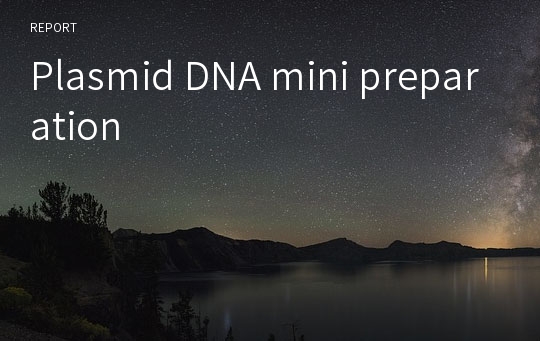 Plasmid DNA mini preparation