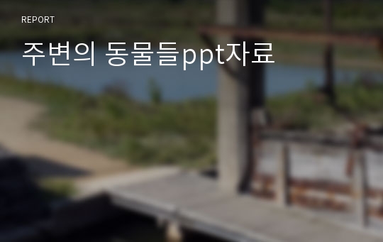 주변의 동물들ppt자료