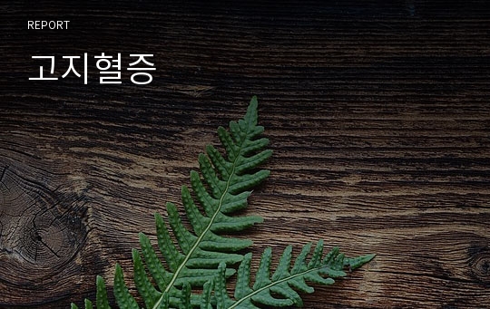 고지혈증