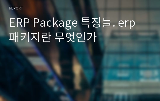 ERP Package 특징들. erp 패키지란 무엇인가