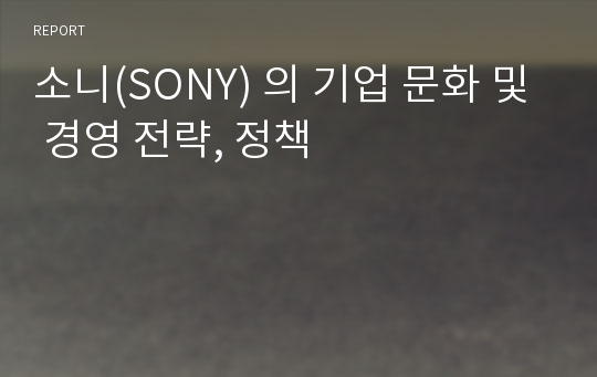 소니(SONY) 의 기업 문화 및 경영 전략, 정책