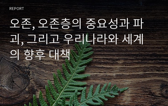 오존, 오존층의 중요성과 파괴, 그리고 우리나라와 세계의 향후 대책