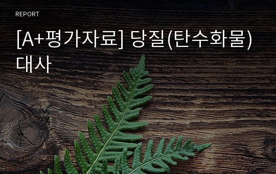 [A+평가자료] 당질(탄수화물)대사