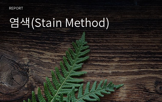 염색(Stain Method)