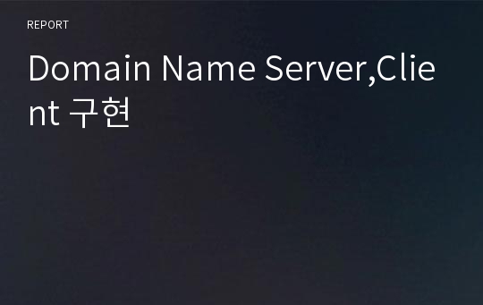 Domain Name Server,Client 구현
