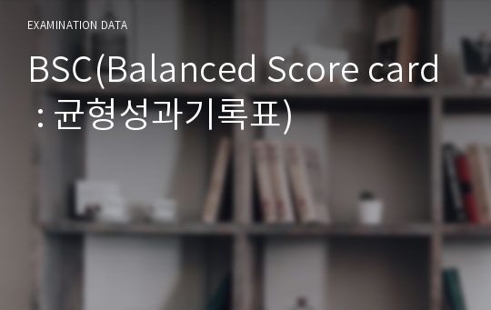 BSC(Balanced Score card : 균형성과기록표)