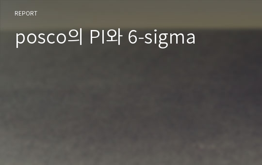posco의 PI와 6-sigma