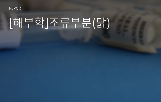 [해부학]조류부분(닭)