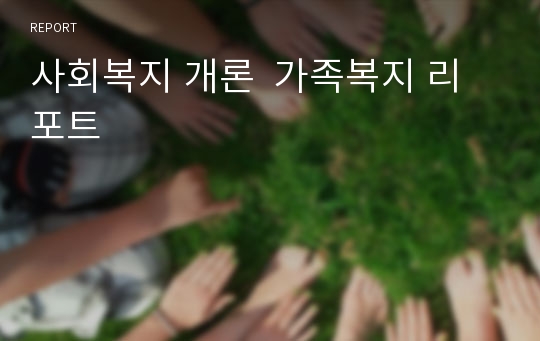 사회복지 개론  가족복지 리포트