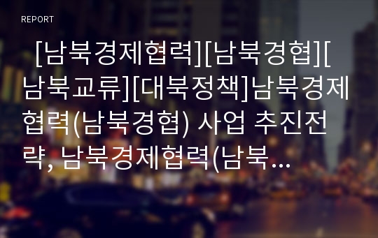   [남북경제협력][남북경협][남북교류][대북정책]남북경제협력(남북경협) 사업 추진전략, 남북경제협력(남북경협) 현황, 향후 남북경제협력(남북경협)의 추진방향과 과제, 남북경제협력(남북경협)의 함축적 의미 분석