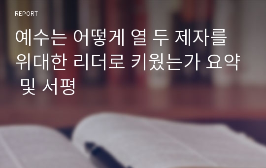 예수는 어떻게 열 두 제자를 위대한 리더로 키웠는가 요약 및 서평