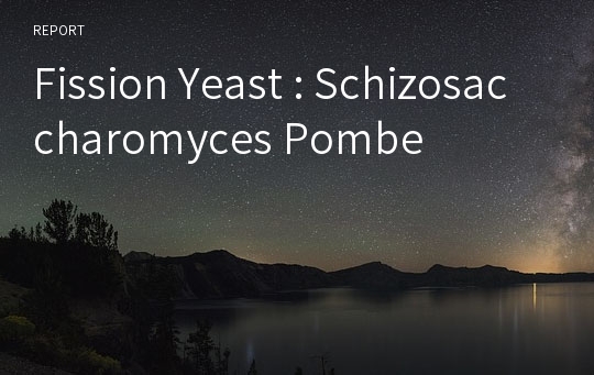 Fission Yeast : Schizosaccharomyces Pombe