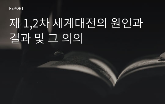 제 1,2차 세계대전의 원인과 결과 및 그 의의