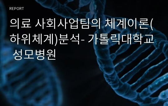 의료 사회사업팀의 체계이론(하위체계)분석- 가톨릭대학교 성모병원