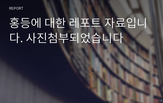 홍등에 대한 레포트 자료입니다. 사진첨부되었습니다