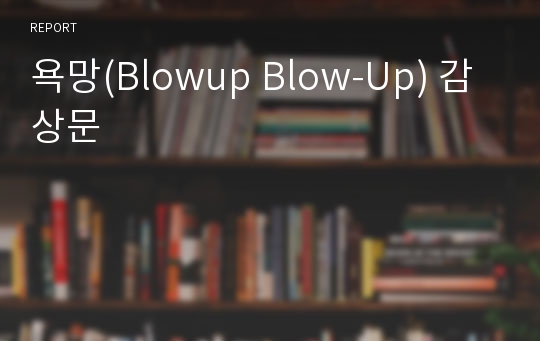 욕망(Blowup Blow-Up) 감상문