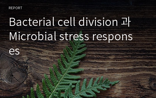 Bacterial cell division 과 Microbial stress responses