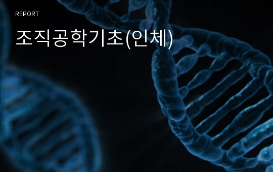 조직공학기초(인체)