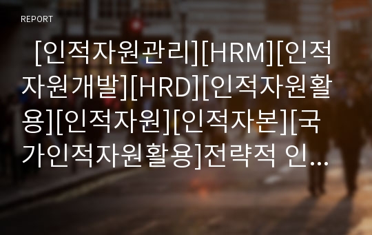   [인적자원관리][HRM][인적자원개발][HRD][인적자원활용][인적자원][인적자본][국가인적자원활용]전략적 인적자원관리(HRM)고찰과 인적자원개발(HRD)의 문제점 및 인적자원 활용 과제 분석(HRM, HRD, 인적자원)