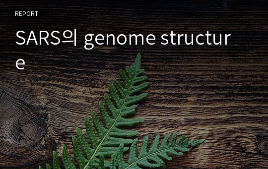 SARS의 genome structure