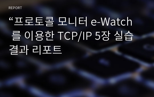 “프로토콜 모니터 e-Watch 를 이용한 TCP/IP 5장 실습 결과 리포트