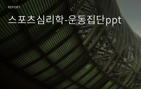 스포츠심리학-운동집단ppt