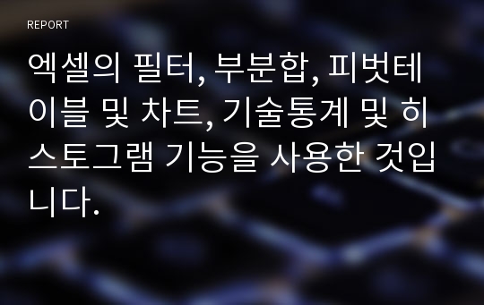 엑셀의 필터, 부분합, 피벗테이블 및 차트, 기술통계 및 히스토그램 기능을 사용한 것입니다.