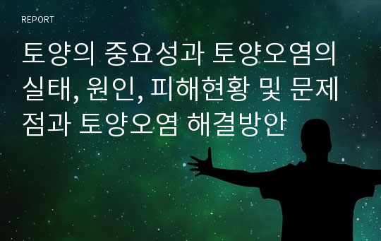 토양의 중요성과 토양오염의 실태, 원인, 피해현황 및 문제점과 토양오염 해결방안