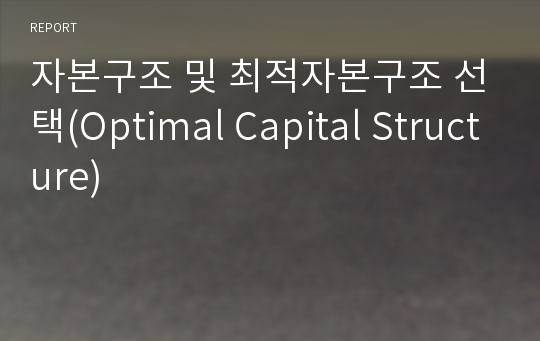 자본구조 및 최적자본구조 선택(Optimal Capital Structure)