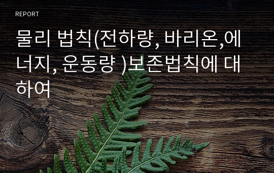 물리 법칙(전하량, 바리온,에너지, 운동량 )보존법칙에 대하여