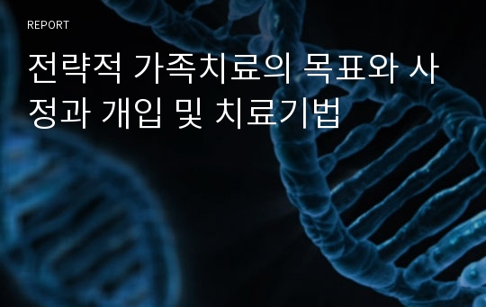 전략적 가족치료의 목표와 사정과 개입 및 치료기법