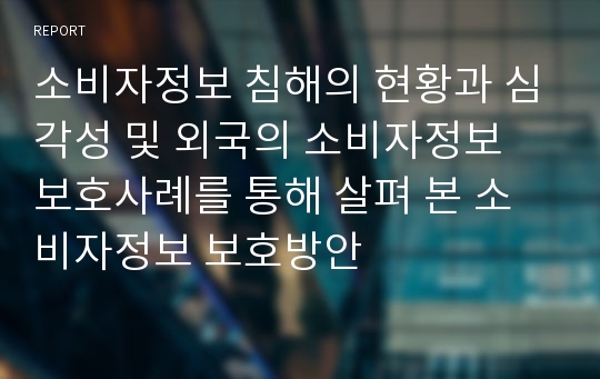 소비자정보 침해의 현황과 심각성 및 외국의 소비자정보 보호사례를 통해 살펴 본 소비자정보 보호방안