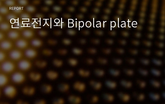 연료전지와 Bipolar plate