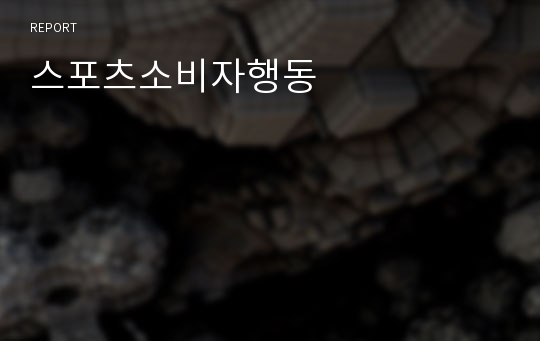 스포츠소비자행동