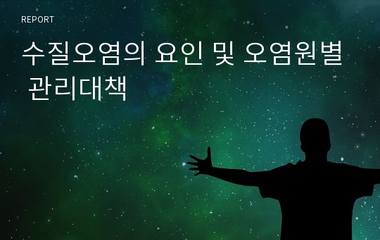 수질오염의 요인 및 오염원별 관리대책