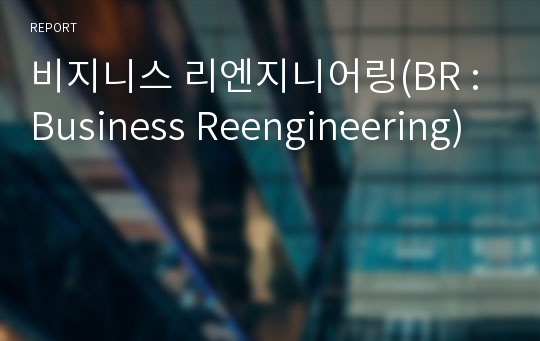 비지니스 리엔지니어링(BR : Business Reengineering)