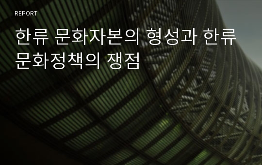 한류 문화자본의 형성과 한류문화정책의 쟁점