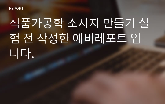 식품가공학 소시지 만들기 실험 전 작성한 예비레포트 입니다.